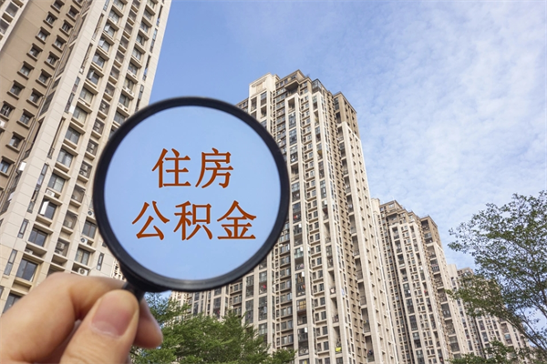 福州离职后公司不给转公积金怎么办（离职后公司不给转社保怎么办）